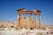 Palmyra 12