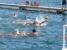 Vaterpolo UPAS Cup0013