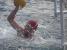 Vaterpolo UPAS Cup0051